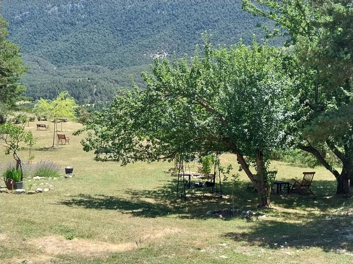 Petit Studio Dans La Prairie Saint-Auban  Esterno foto